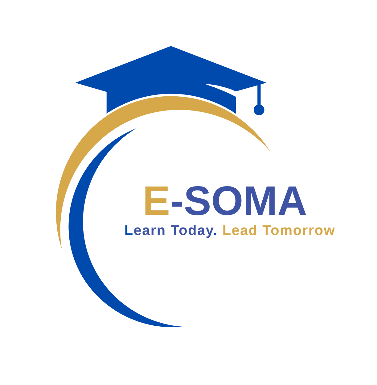 e-somahub.com